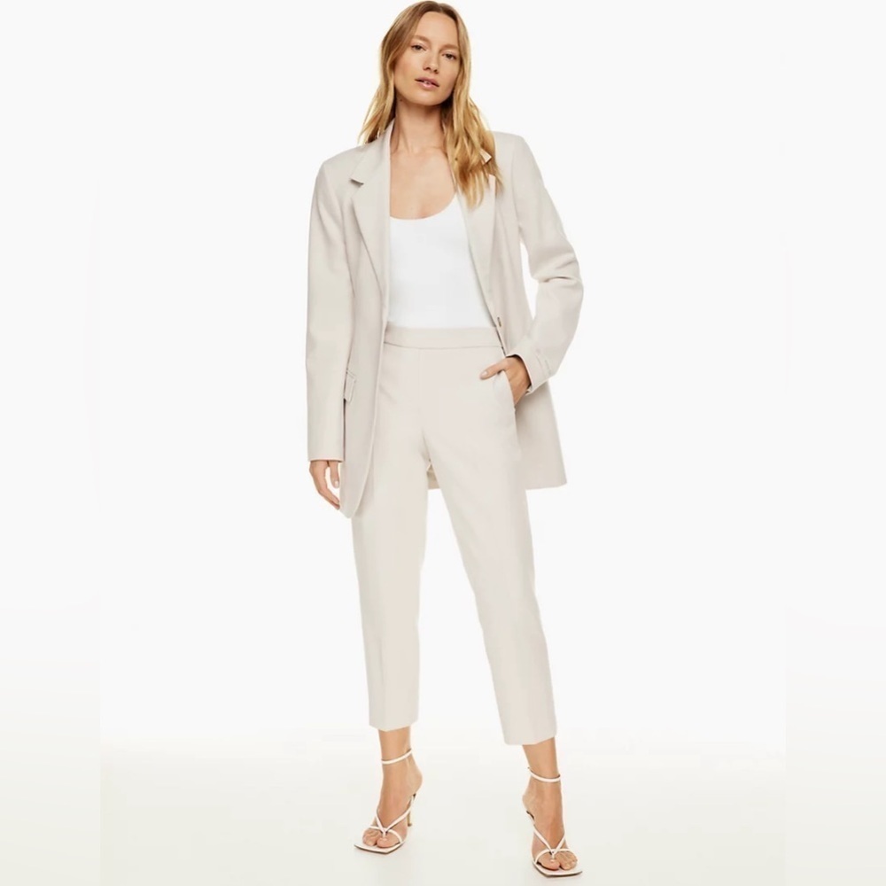 Aritzia Babaton Conan Cropped Pant